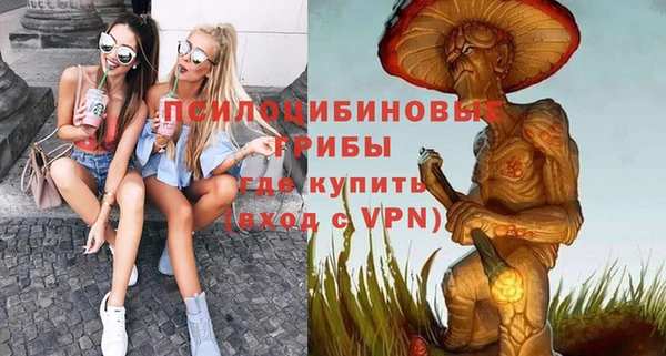 спиды Белокуриха