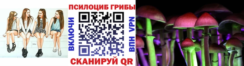 Псилоцибиновые грибы прущие грибы  Шимановск 